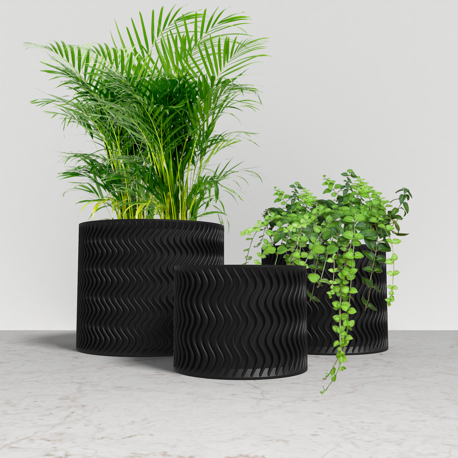 ARCUS Planter Collection - Black Cylinder Planter. Buy at www.layeredfusion.com.