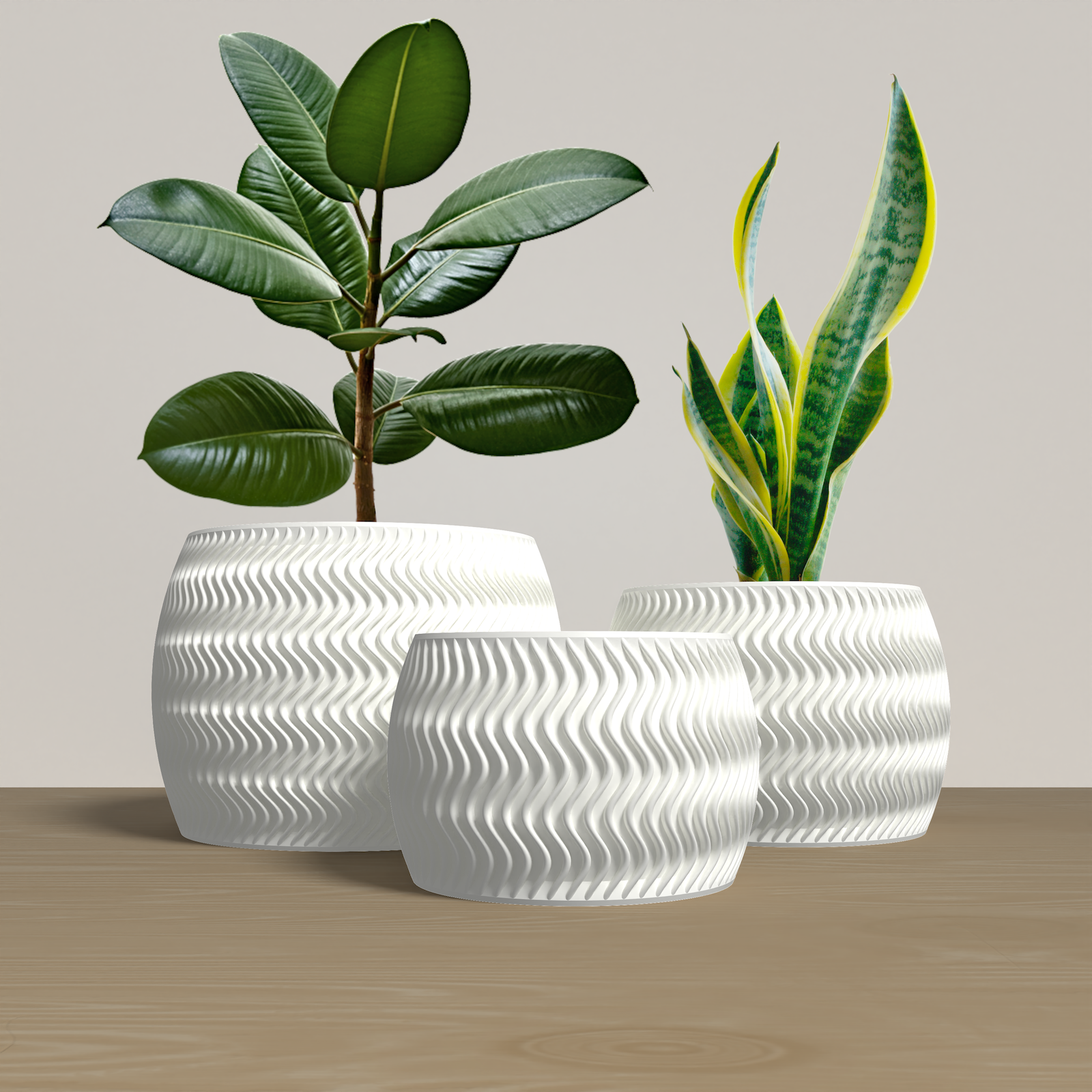 ARCUS Planter Collection - Modern and Minimalist Rounded Planter gallery image 3